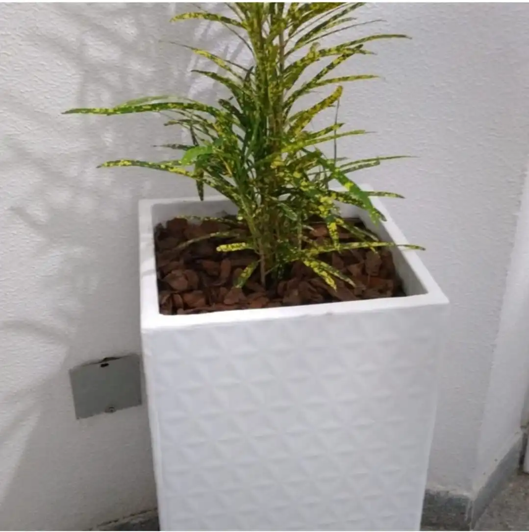Vaso pequeno de concreto com suculenta